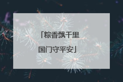 粽香飘千里 国门守平安